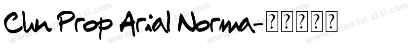 Chn Prop Arial Norma字体转换
